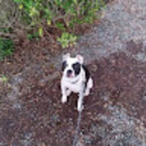 Meet your Posher, Larry